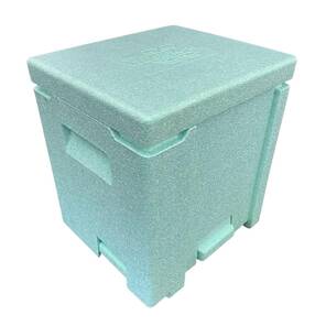 Ana Arı Kovanı Epp, Yeşil