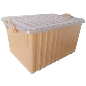 Apimaye Çerçeve Taşıma Sandığı (Ln-24), 6 Adet