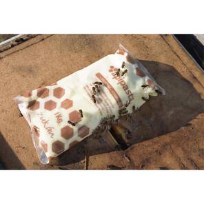 Apipasta Vitaminli Arı Yemi - 1 Kg - KARGO DAHİL, 6 TAKSİT