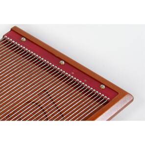 BeeWhisper Arı Zehri Toplama Seti