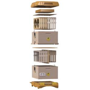 Ergonomik Ahşap Kovan 2 Katlı (LN-24 TR) Çerçeveli