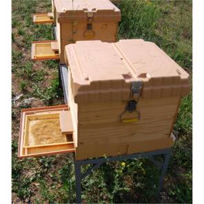 Ergonomik Ahşap Kovan Kuluçkalık (LN-24 TR) Çerçevesiz