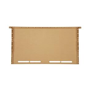 Erkek Arı Gözlü Çerçeve (LN-24)