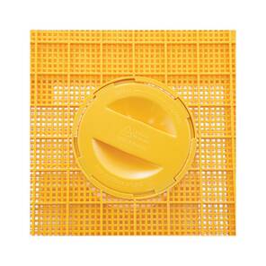 Lyson Arı Taşıma Kutusu, Plastik, Suluklu, Ly-H7445