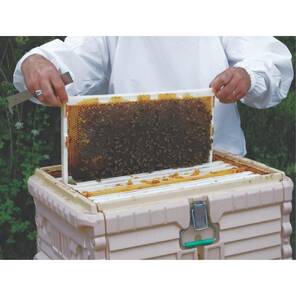 Pratik Çerçeve (LN-22 EU)