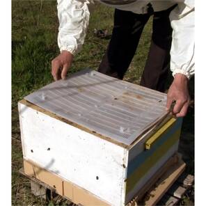 Propolis Tuzağı, Tırnaklı