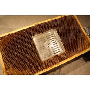 Swienty Jenter VarroaSTOP, 2'li