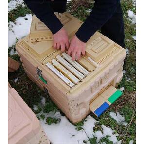 Termo Ana Arı Kovanı (LN-24)