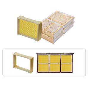 Yasaeng Petekli Bal İçin Hazır Çerçeve