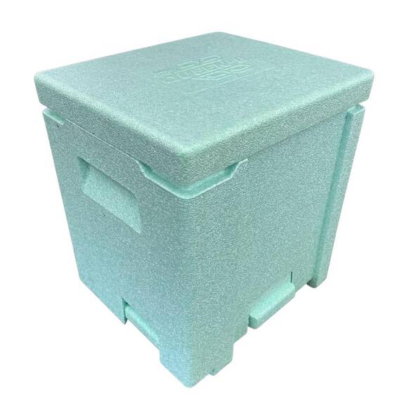 Ana Arı Kovanı Epp, Yeşil