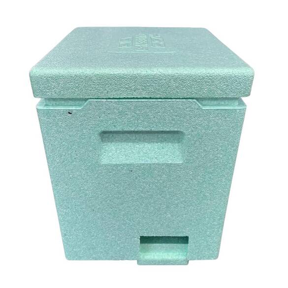 Ana Arı Kovanı Epp, Yeşil