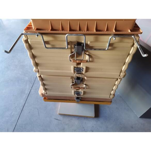 Apimaye Çerçeve Askısı, Galveniz