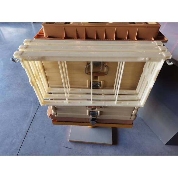 Apimaye Çerçeve Askısı, Galveniz