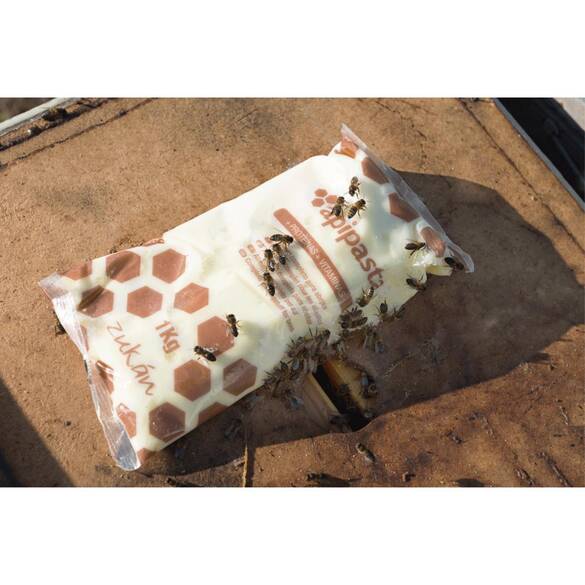 Apipasta Vitaminli Arı Yemi - 1 Kg - KARGO DAHİL, 6 TAKSİT