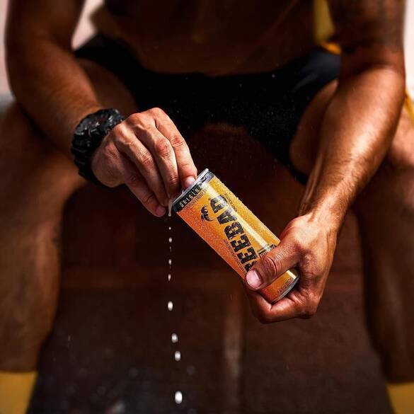 BEEBAD Enerji İçeceği - 24 X 250 ml