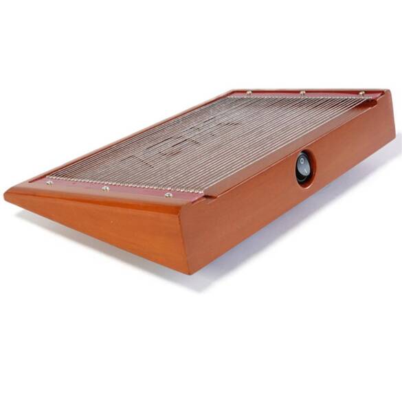 BeeWhisper Arı Zehri Toplama Seti