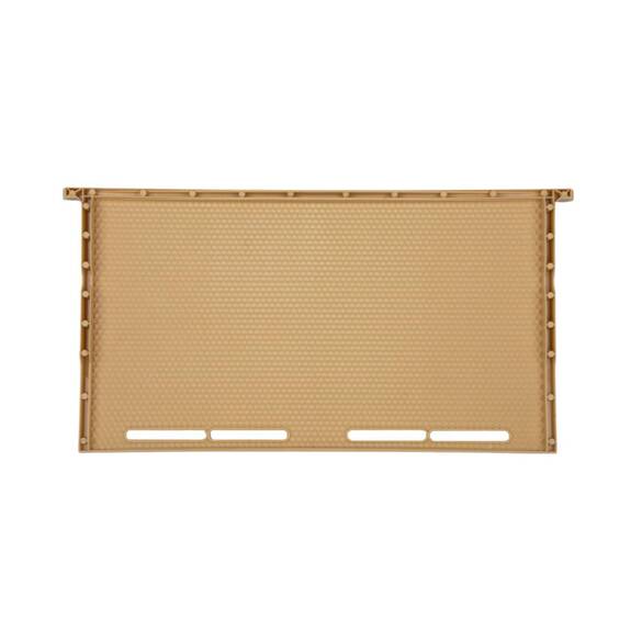 Erkek Arı Gözlü Çerçeve (LN-24)