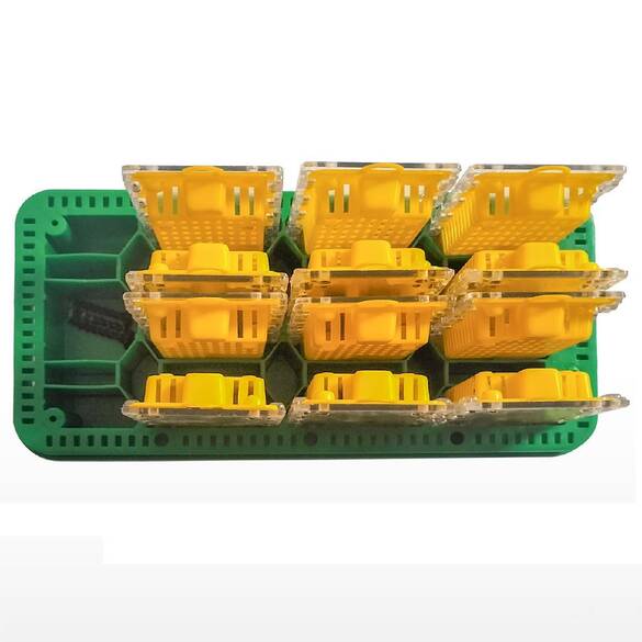 HaftGohar Ana Arı Taşıma Kutusu, Ap-10612