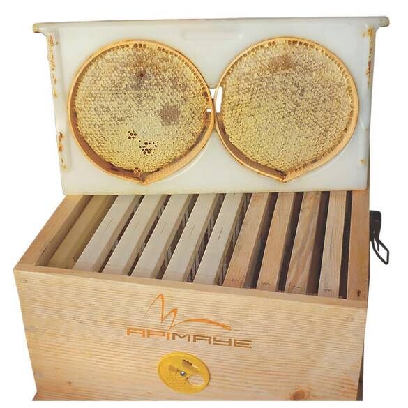 Karakovan Çerçevesi (LN-22)