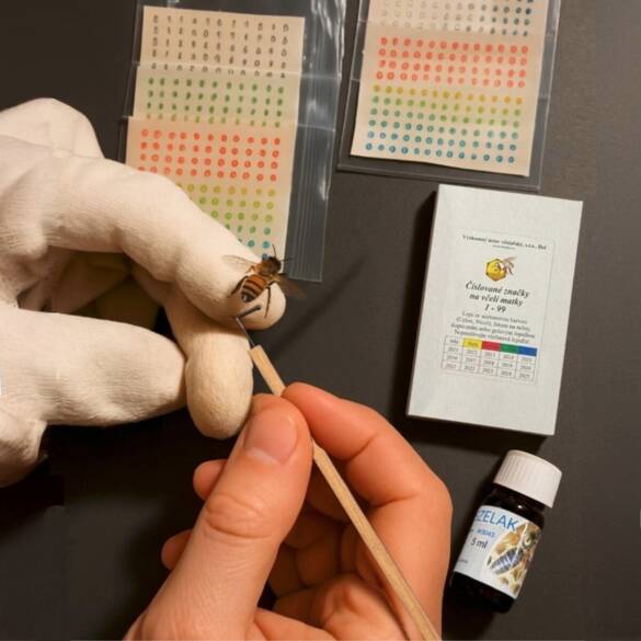 Lyson Ana Arı İşaretleme Seti (5 Renk Numara, Yapıştırıcı, Ahşap Aparat)