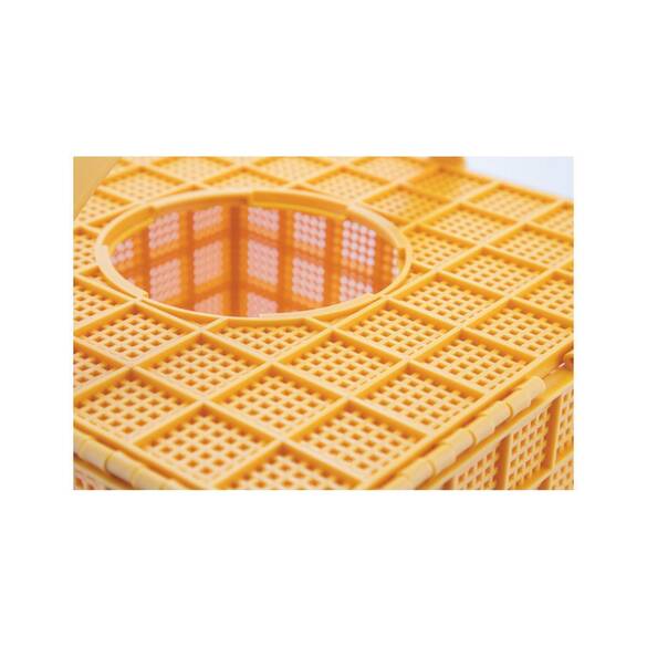 Lyson Arı Taşıma Kutusu, Plastik, Suluklu, Ly-H7445