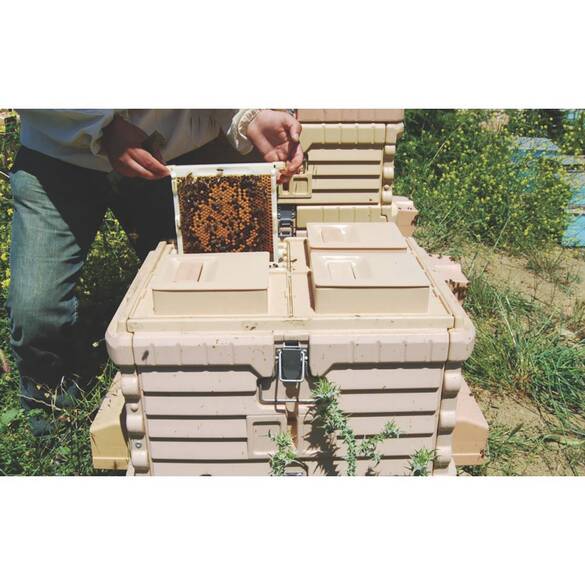 Pratik Ana Arı Çerçevesi (DN-30)