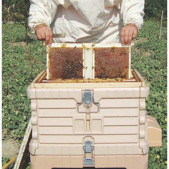 Pratik Ana Arı Çerçevesi (DN-30)