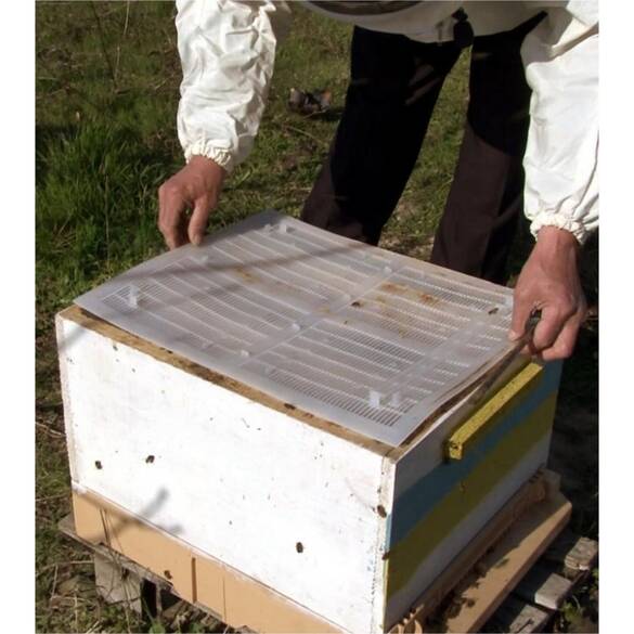 Propolis Tuzağı, Tırnaklı