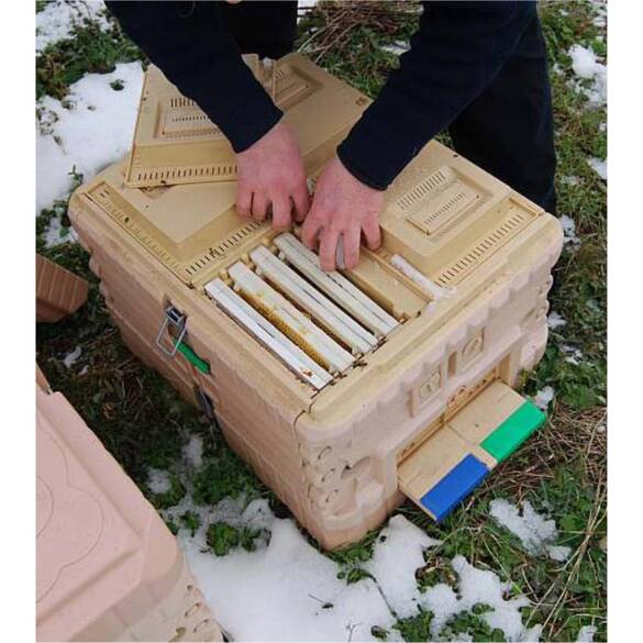 Termo Ana Arı Kovanı (LN-24)