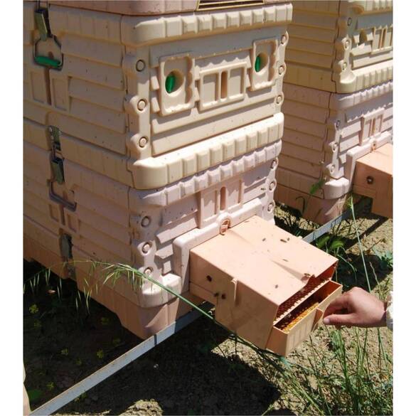 Termo Kovan Polen Tuzağı